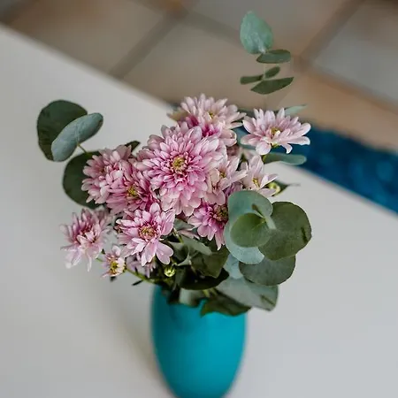 Krasas Apts * 라르나카